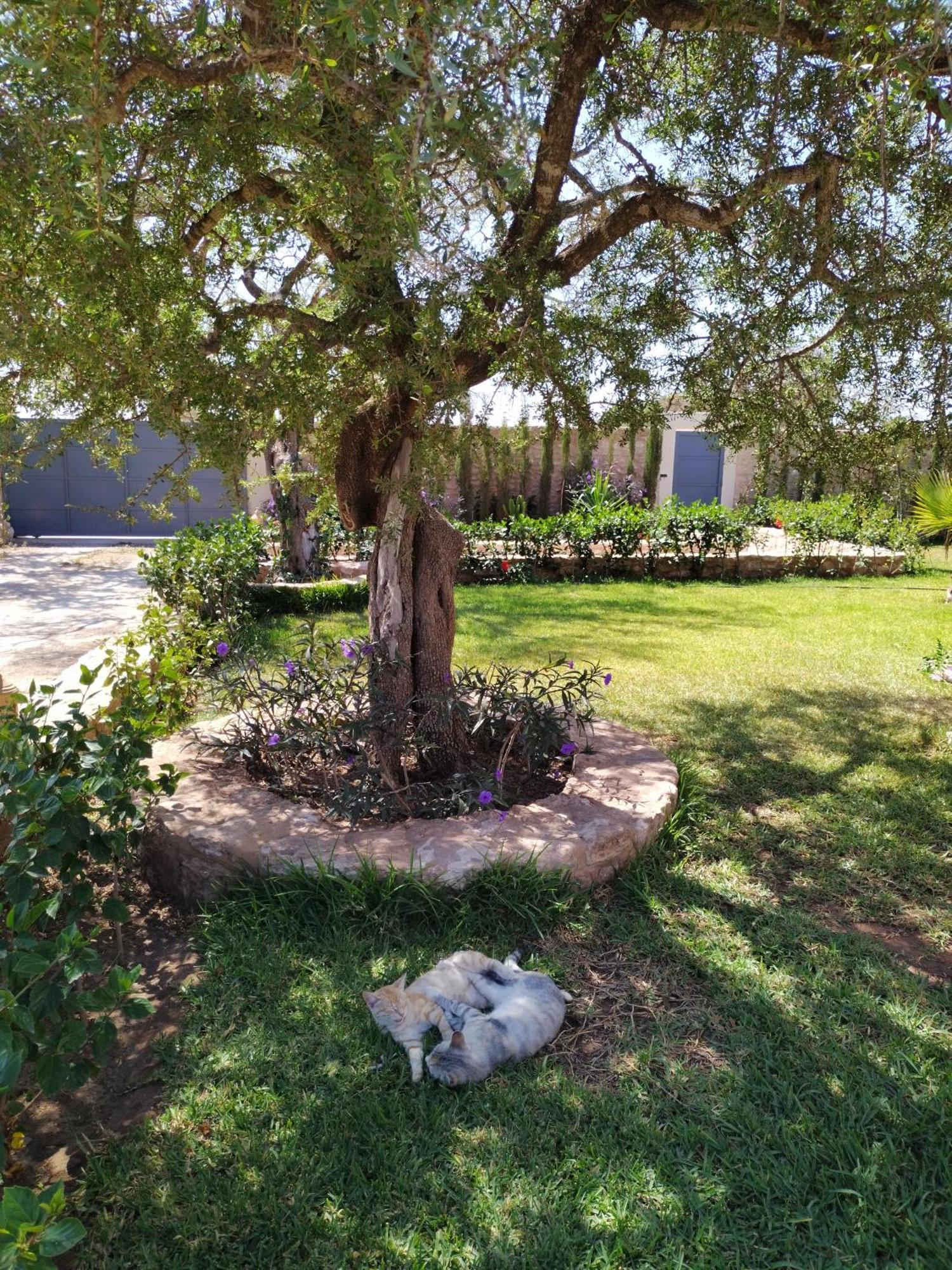 Villa Iyad As-Suwajra Zewnętrze zdjęcie